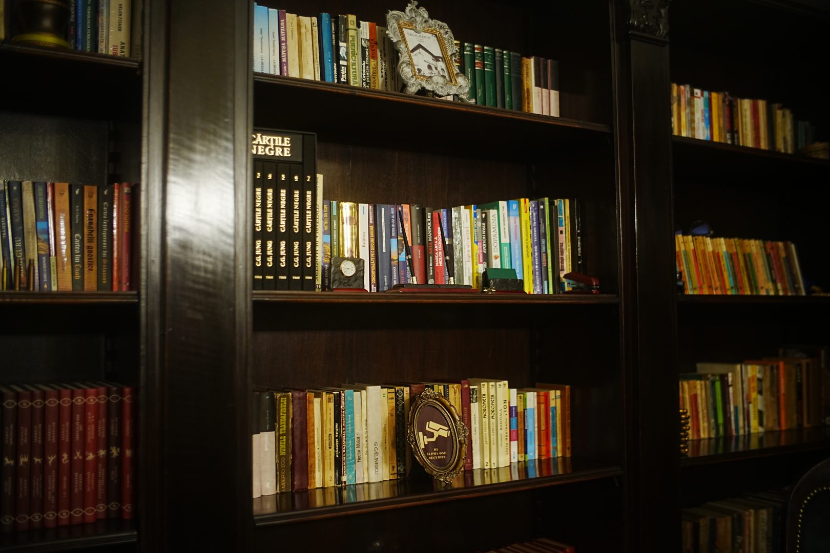 Casa Gheorghe Tătărescu din București: Testament al puterii, culturii și memoriei în Actuala EkoGroup Vila